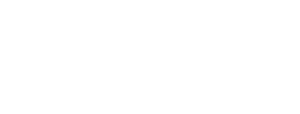 Logo for Elsa Leadership